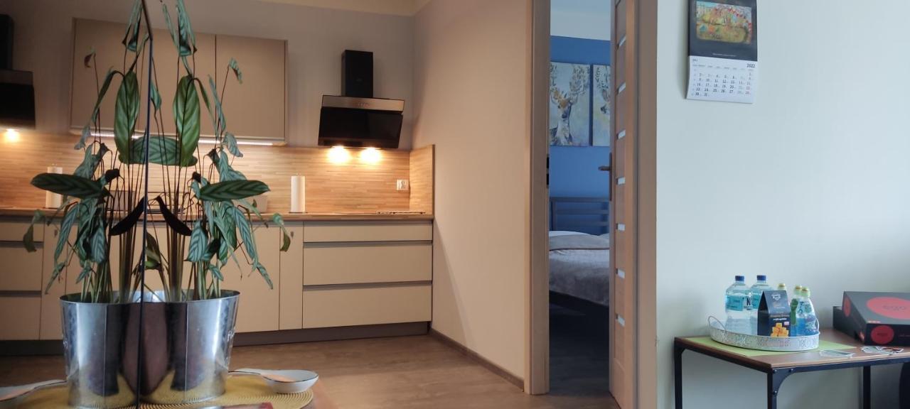 Fajny Kat - Apartamenty W Centrum, Najwyzsze Opinie Gosci Jelenia Gora Luaran gambar